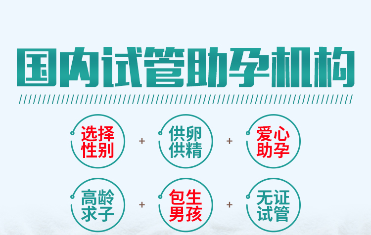 香港代孕-香港代母價錢/香港代孕價格/香港輔助生殖/香港代孕費用/香港借腹生子/香港同性代孕/香港代孕生子/香港ivf